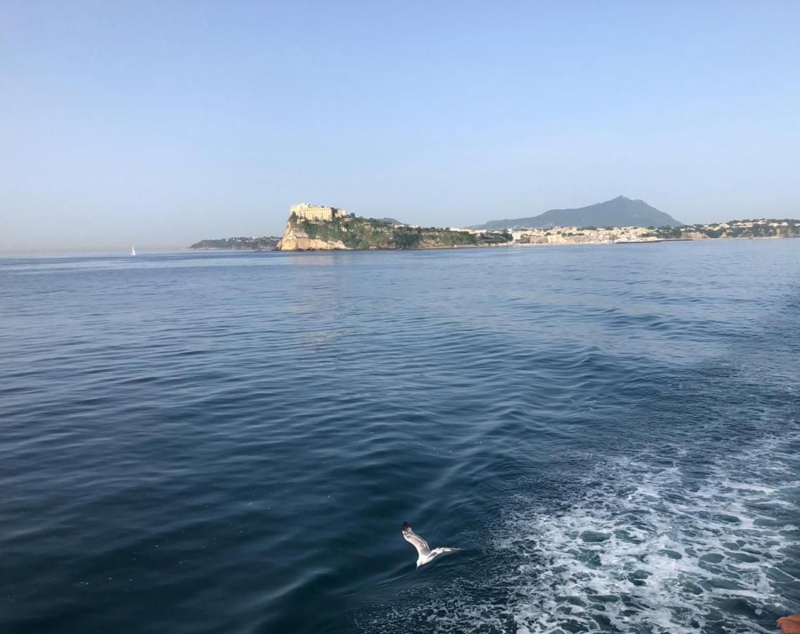 Vento Di Mare Panzió Procida Kültér fotó